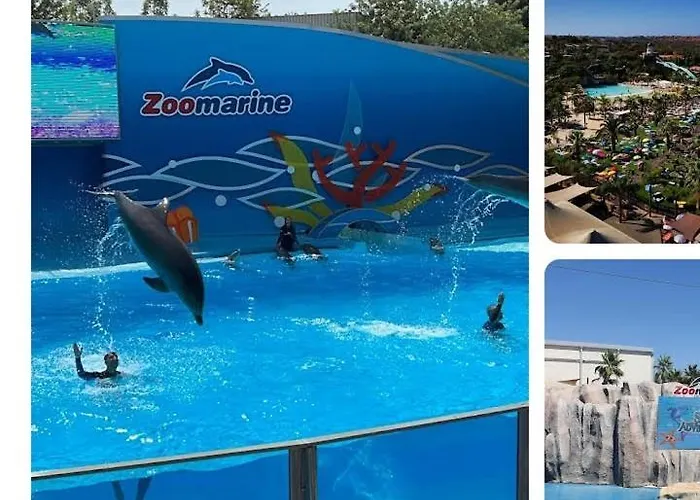 Da Mesa アパート *