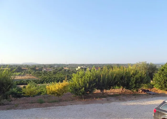 Da Mesa アルゴス