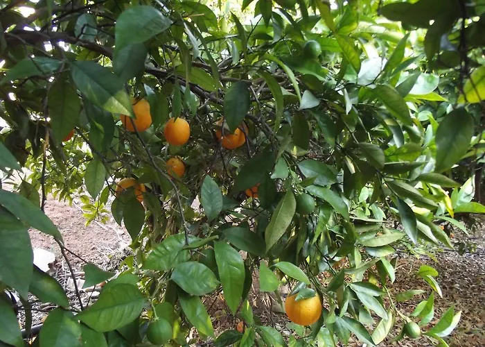 アパート Da Mesa