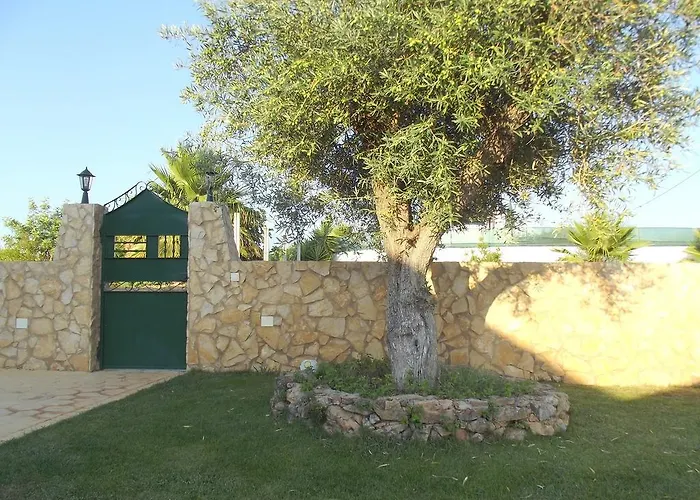 Da Mesa アルゴス