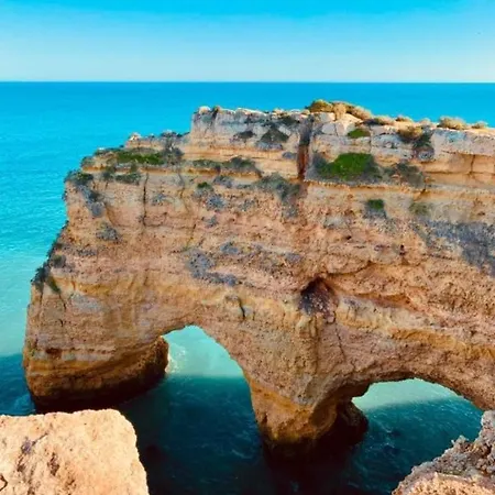 Da Mesa Алгош