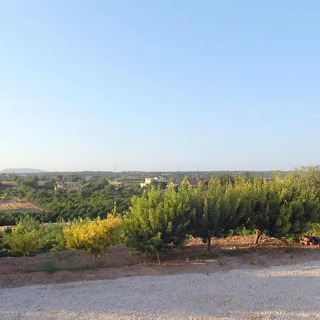 Da Mesa Algoz