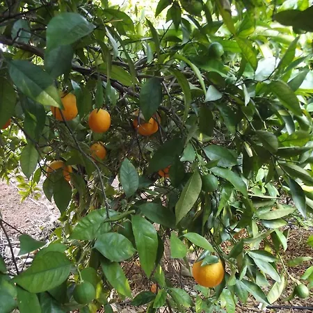 Appartamento Da Mesa